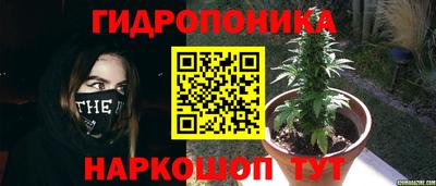 MDMA Ярославль